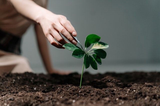 Responsive to feedback